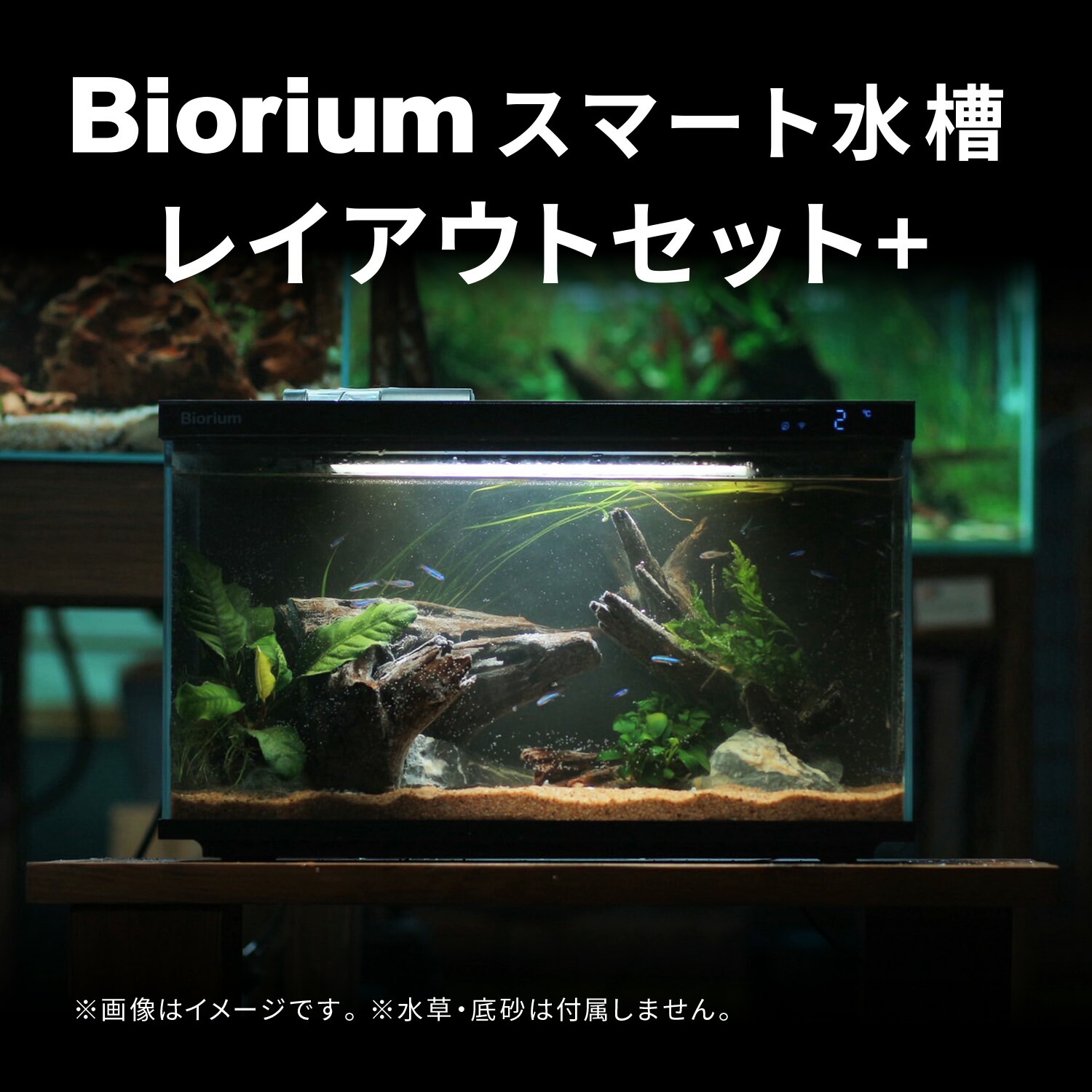 Biorium オールインワン水槽 静音フローガイド付き Biorium