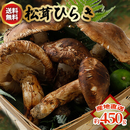 松茸 北海道 350g 送料込 松茸 北海道 350g 送料込 北海道 松茸 350g