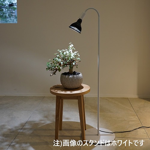 楽天市場】【マラソン限定クーポンで500円OFF!】NEO AMATERAS LED 20W