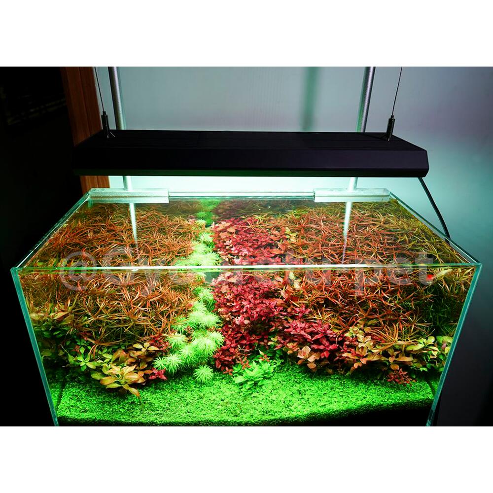 楽天市場】Chihiros（チヒロス） WRGB2 30 適合水槽サイズ30〜45cm