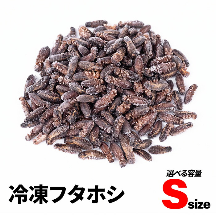 送料無料冷凍イエコML〜L1キロ