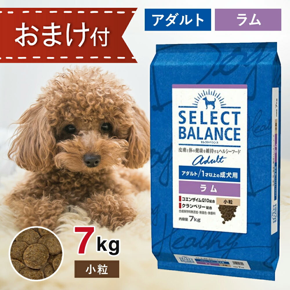 ☆セレクトバランス エイジングケア☆ラム小粒 7才以上の成犬用15kg