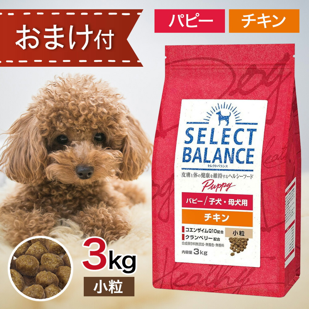 セレクトバランス パピー チキン 小粒 子犬 母犬用 15kg 【公式通販】