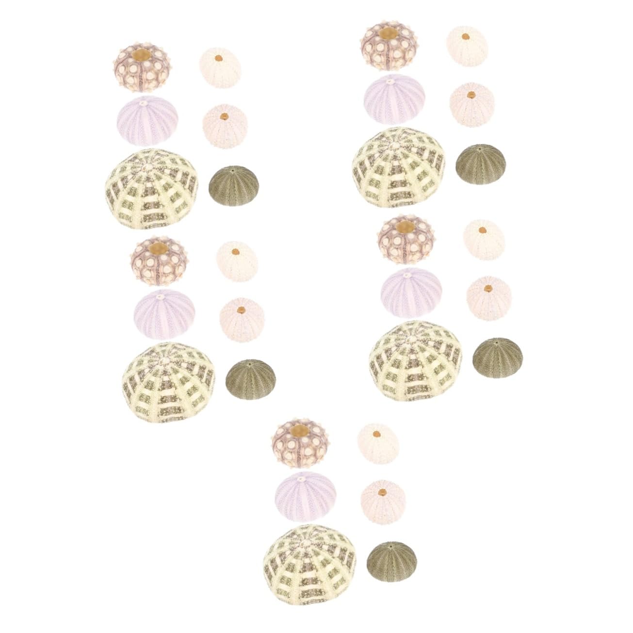 楽天市場】天然素材 ウニ（シーウーチン）（約4〜8cm）カラー4P