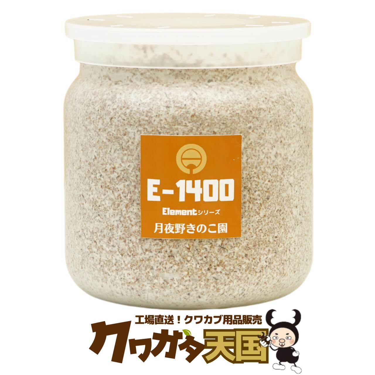 カワラ菌糸ブログ 9個カワラ菌糸ブログ 9個 菌糸 – INSECT SHOP KMY