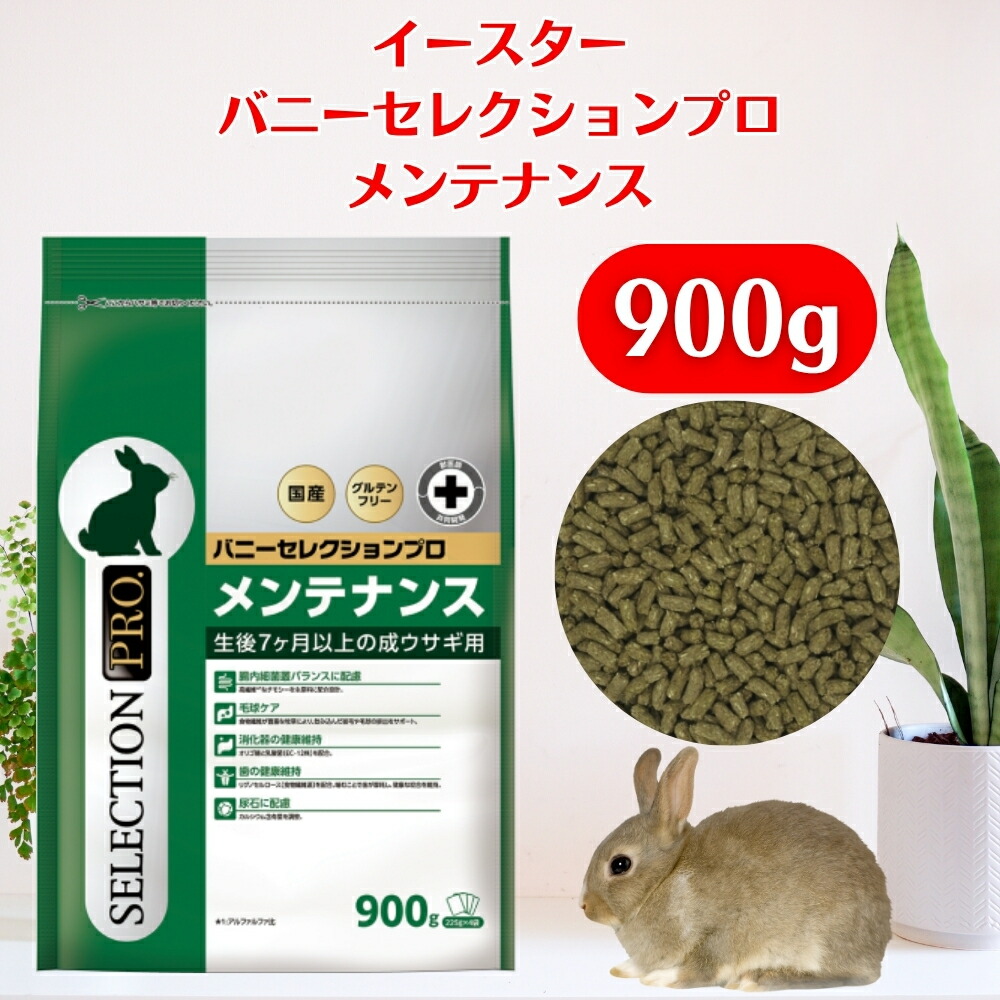 楽天市場】イースター バニーセレクションプロ ボディウェイトケア