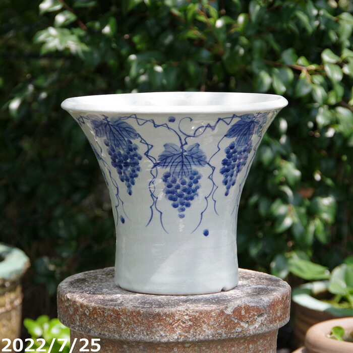 希少 レトロ 瀬戸染付丸鉢 瀬戸鉢 鉢 Japanesetraditional 希少 レトロ