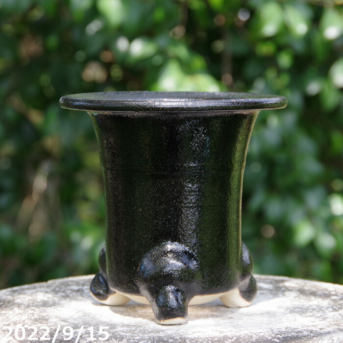 楽天市場】※窯元直送 愛楽園 万年青鉢 6号 ☆サナサービス☆【京楽鉢