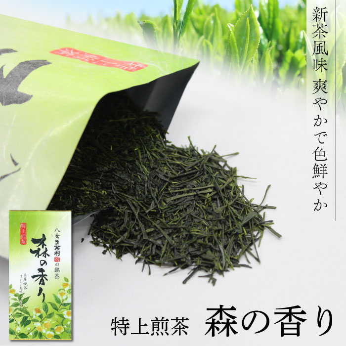 楽天市場】【八女産茶葉使用】特上煎茶 初みどり（100g）お茶 日本茶
