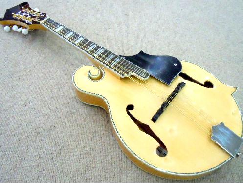 楽天市場】フラットマンドリンセット 憧れのギブソンモデル渦巻きF