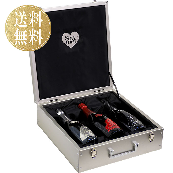 ソウメイ アタッシュケース 6本セット シャンパン レッド ブラック