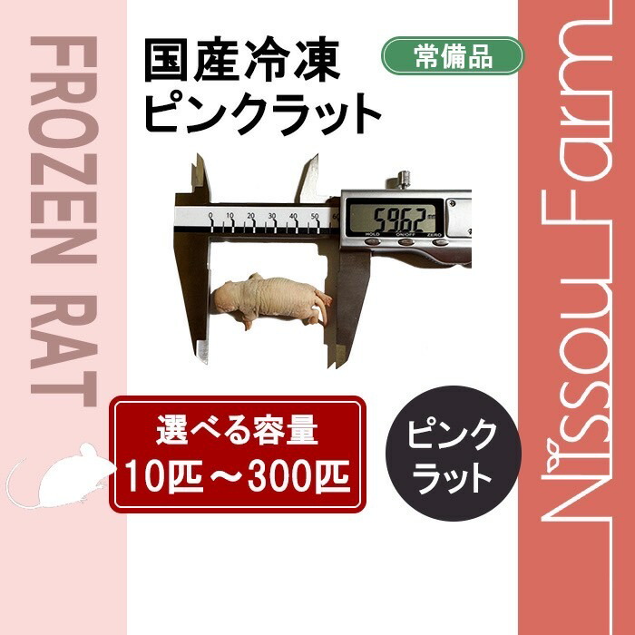 楽天市場】国産冷凍マウス ファジーL 即日発送 同梱可 選べる容量 10匹