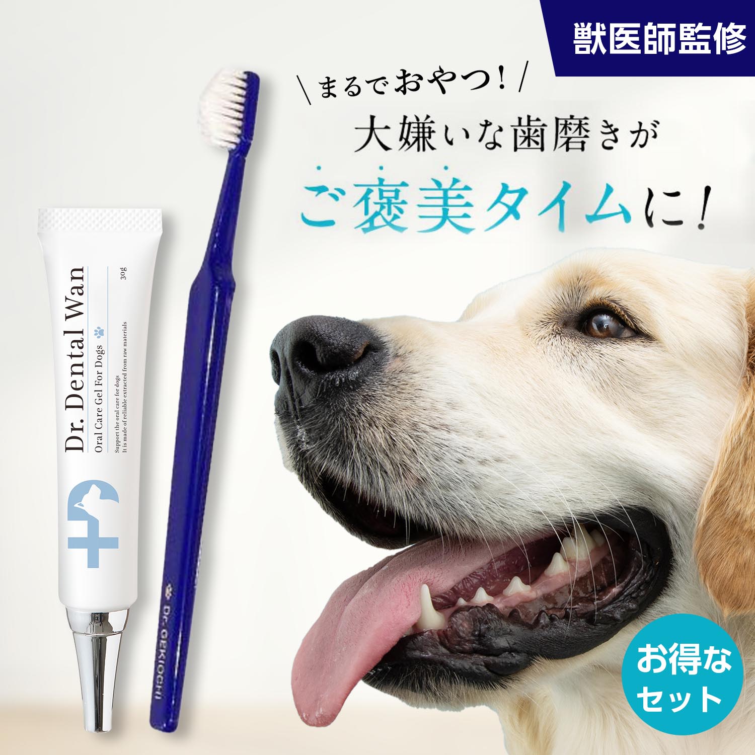 Dr. Dental Wan ドクターデンタルワン犬用 口腔ジェル30g 【2本