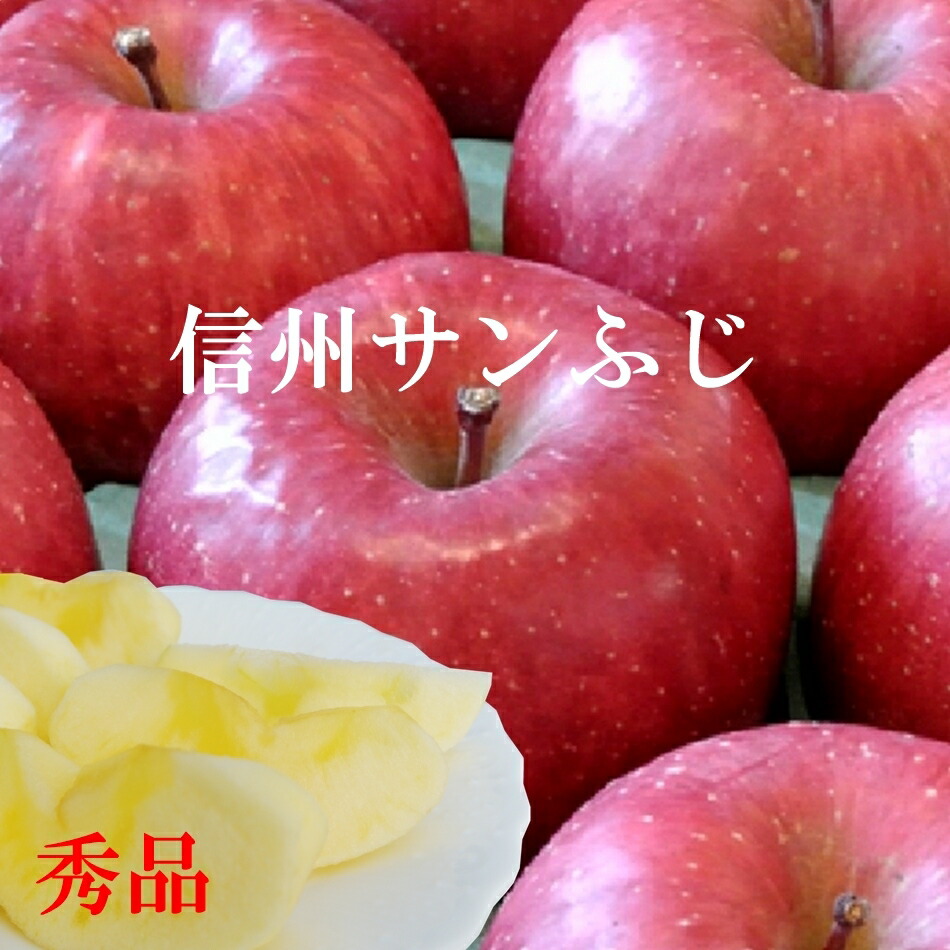 りんご 0207 2・10 りんご サンふじ 秀品 10〜23玉 5kg 長野県