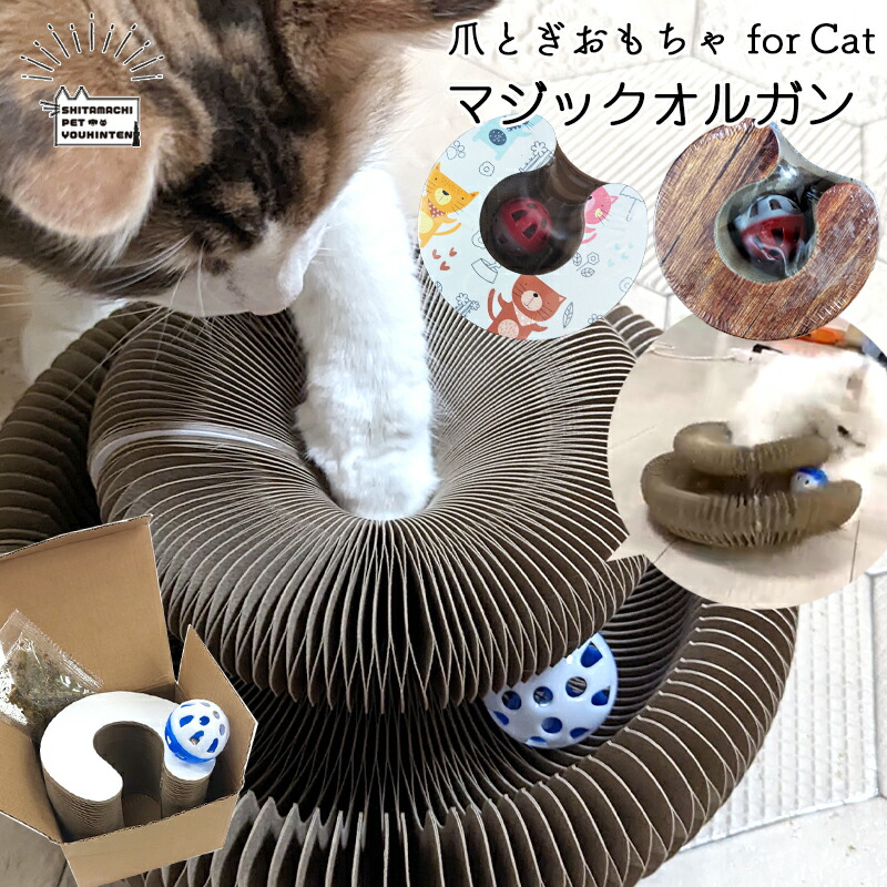 楽天市場】猫 おもちゃ ねこじゃらし 猫じゃらし セット 猫のおもちゃ