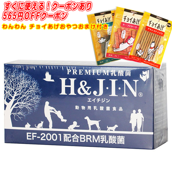 楽天市場】H&J・I・N (H&JIN) 乳酸菌エイチジンブルー 90g (1g×90包