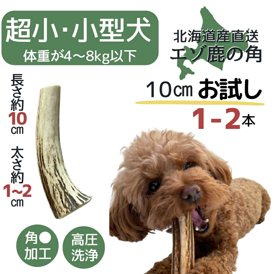楽天市場】【今期狩猟品】鹿角 犬 半割れ 10センチ 半割り 犬のおやつ