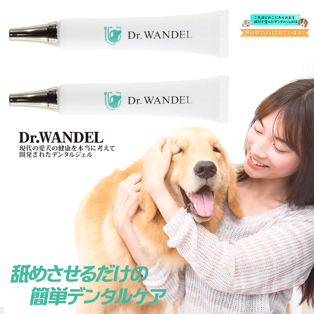 楽天市場】ドクターワンデル プラス Dr.wande 30g 愛犬用 デンタルケア