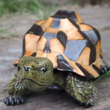 楽天市場】かめの置物 亀の親子2品セット 7575・74HT かめ