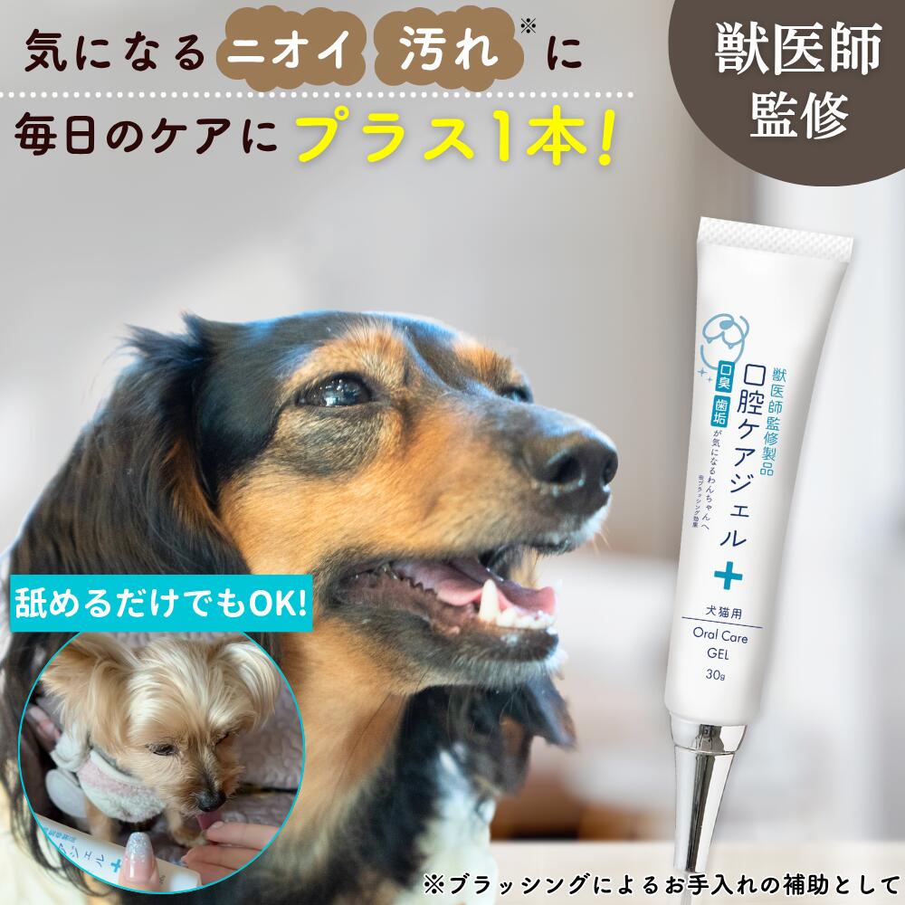 楽天市場】ドクターワンデル プラス Dr.wande 30g 愛犬用 デンタルケア
