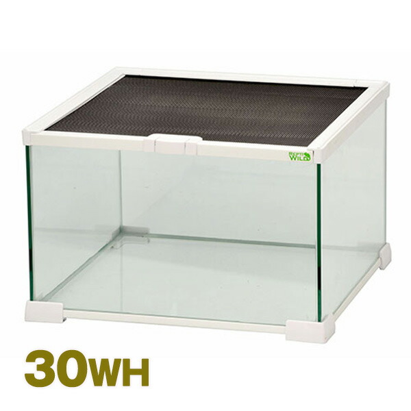 Free LIFE 三晃商会 爬虫類飼育用組立て式ガラスケース パンテオン