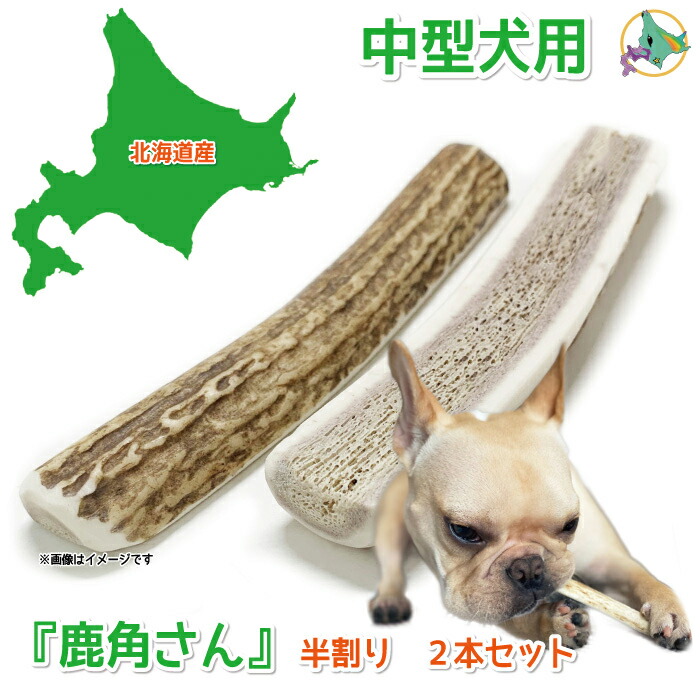 静岡下田の鹿の角14本 （愛犬のおもちゃ/ハンドクラフト素材） 楽天