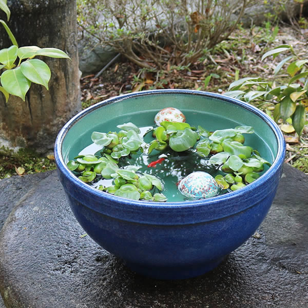 楽天市場】13号窯肌クシ目水鉢 信楽焼すいれん鉢 メダカ鉢、 金魚鉢に