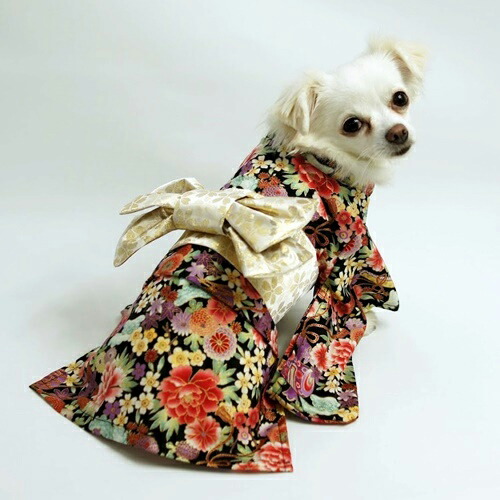 楽天市場】振袖着物(一重) ecoタイプ 大型犬向け型紙 : CELEBDOG