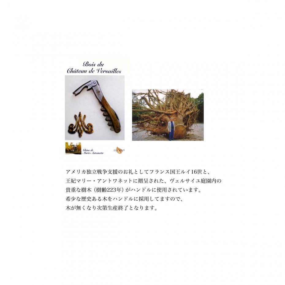 シャトーラギオール マリー・アントワネット チューリップウッド