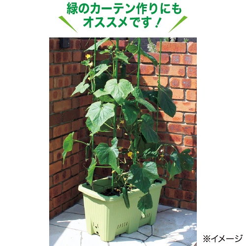 菜園用多機能プランター&培土セット| 種・苗・ガーデニング用品の