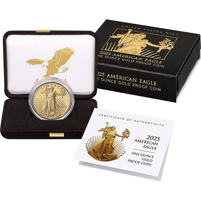 31.1 グラム 純銀 アメリカ イーグル ウオーキング リバティ 2010年 1