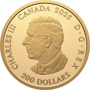 カナダ 2025年 多面的なメイプルリーフ 50ドル銀貨金メッキ付 プルーフ