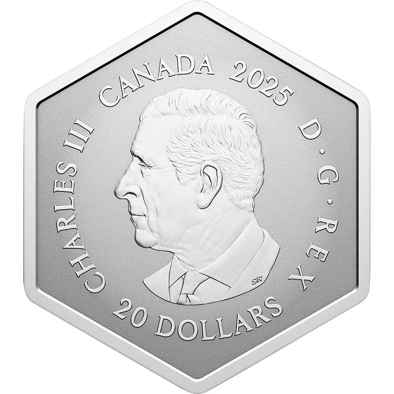 カナダ 2025年 雪の結晶 20ドル銀貨クリスタル付 リバースプルーフ