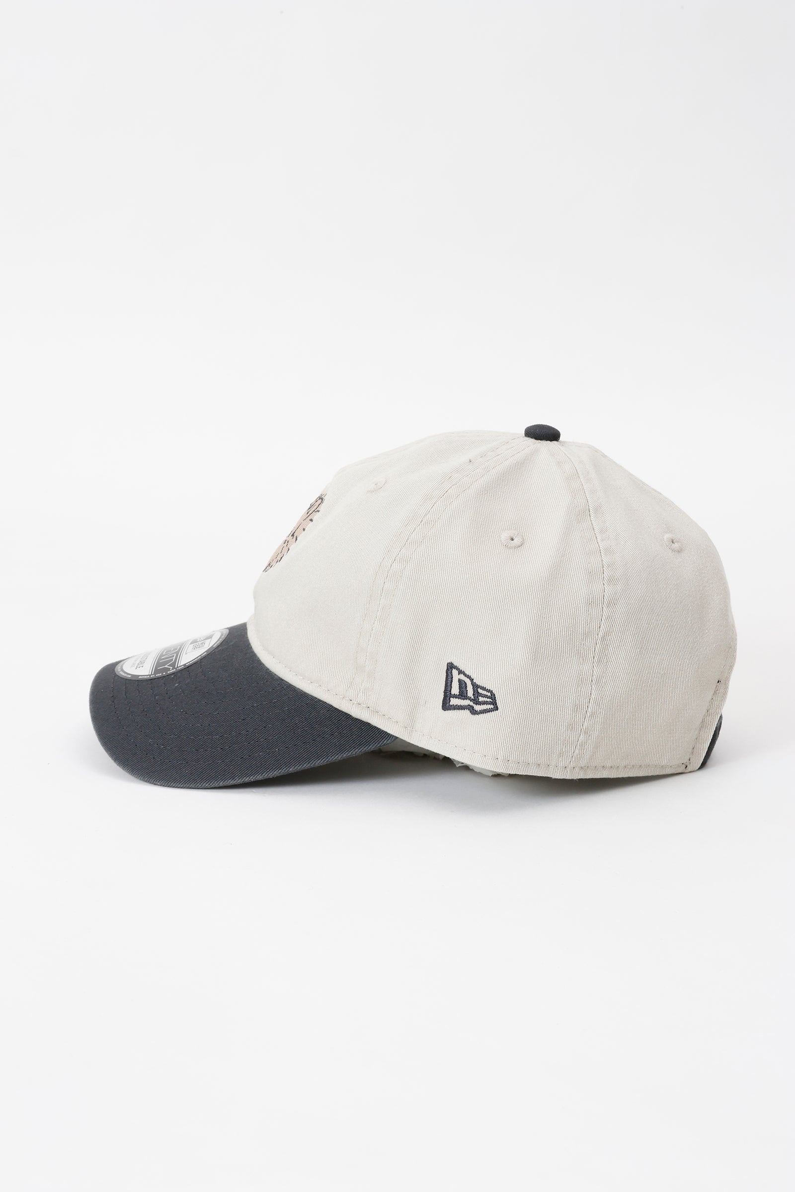NEW ERA® 9TWENTY™ モモンガ STONE / STEEL CLOUDS