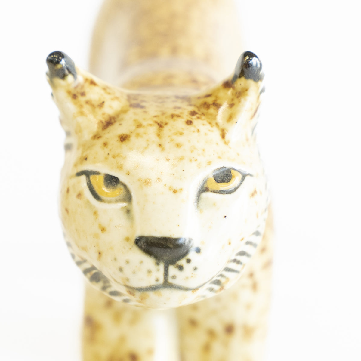 WWF Lynx（オオヤマネコ）