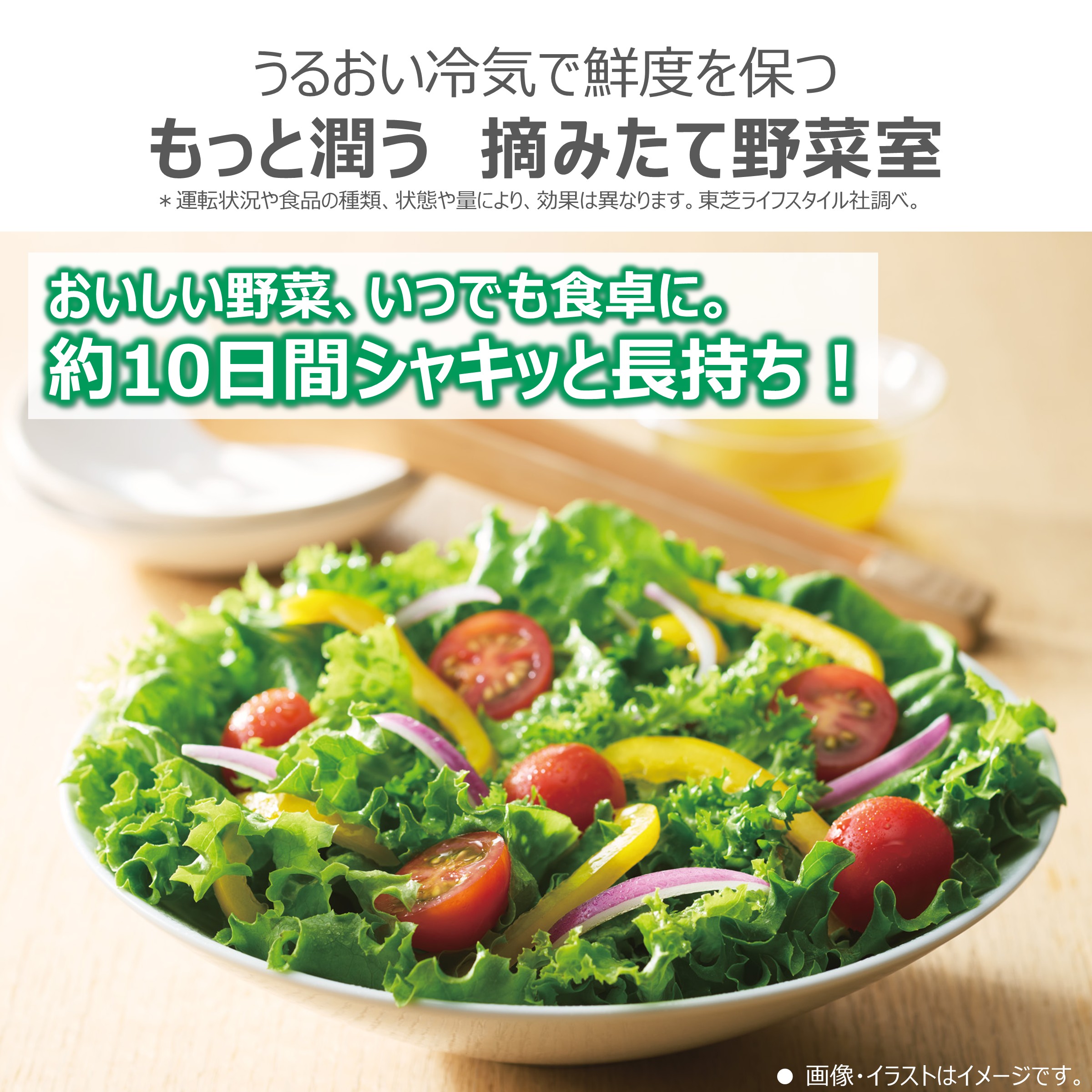 5ドア冷凍冷蔵庫 VEGETA GR-A500GTL(TW)((TW)フロストホワイト): 家電