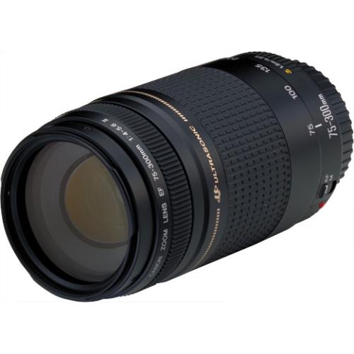 フード付/迫力の300㎜/望遠レンズ Canon EF75-300㎜B キヤノン/人気の