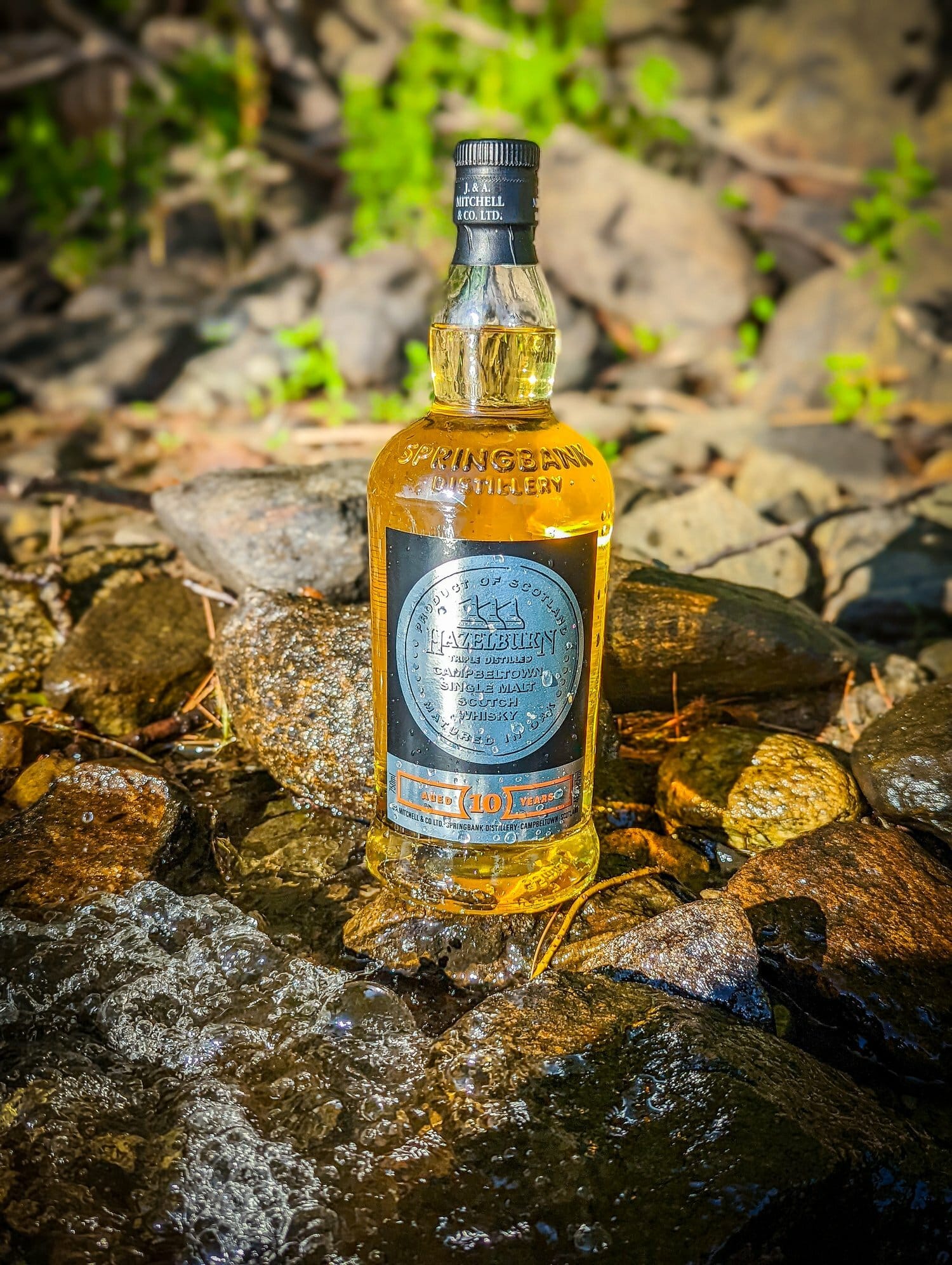 未開栓◇古酒◇スプリングバンク 8年 ウイスキー特級 SPRINGBANK