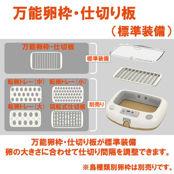 ビッグママ20DO 全自動孵卵器(ふ卵器・ふ化器) : eバード - 通販