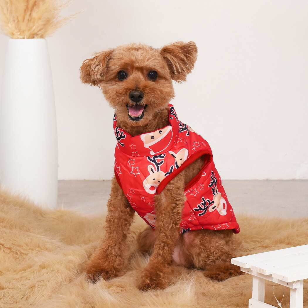 犬服 3S わんこの普段着 ベリーベリー レッド 犬服 3S わんこの普段着