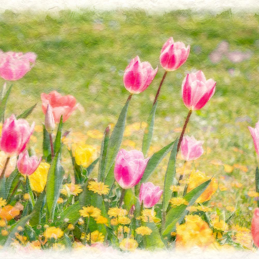 花 チューリップ 絵画 インテリア 現代アート 木製パネル BAEZ3 花