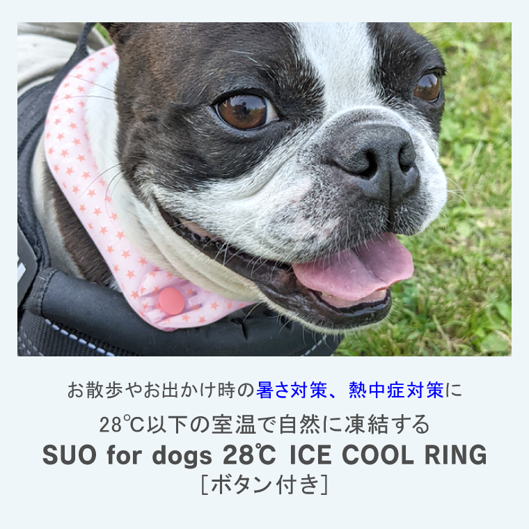 ICE RING（アイスリング） SUO 犬用 クールリング Sサイズ 正規販売店