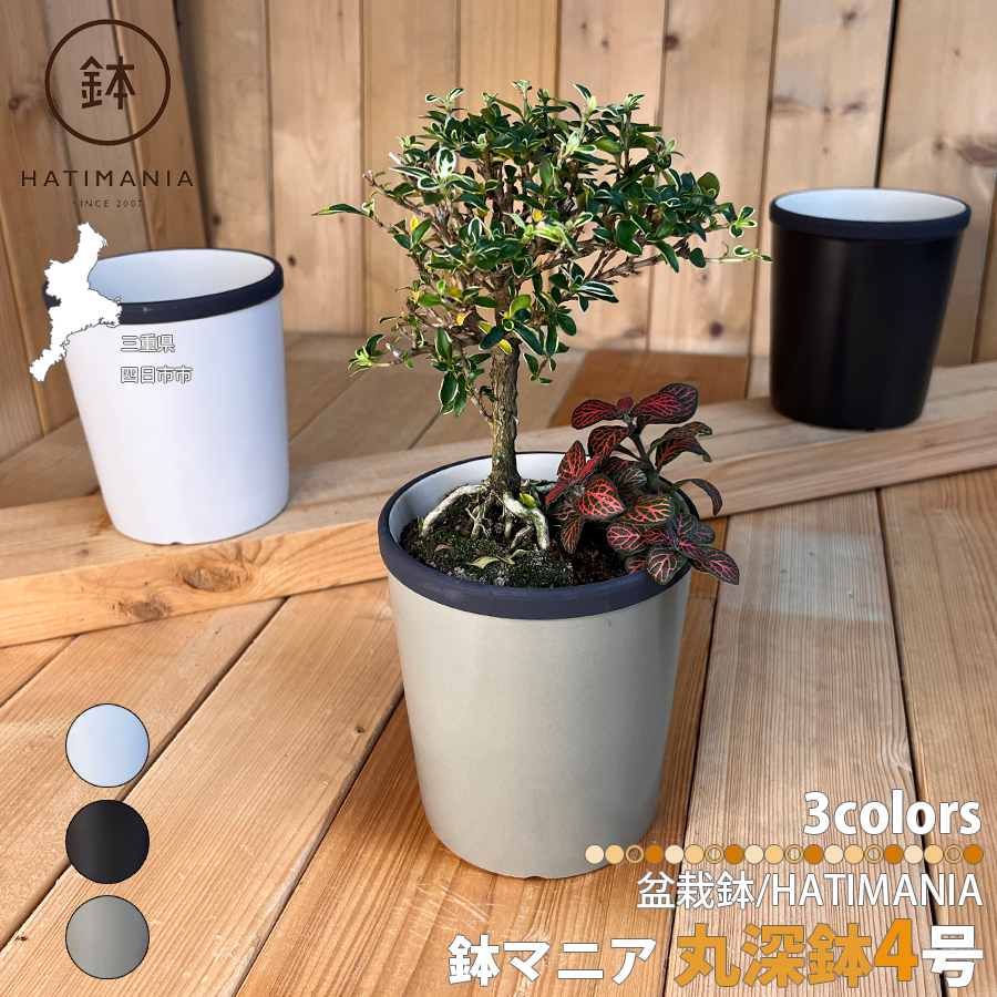 HATIMANIA 鉢マニア 丸鉢 2号 盆栽鉢 水が抜けやすい 小さい 小サイズ