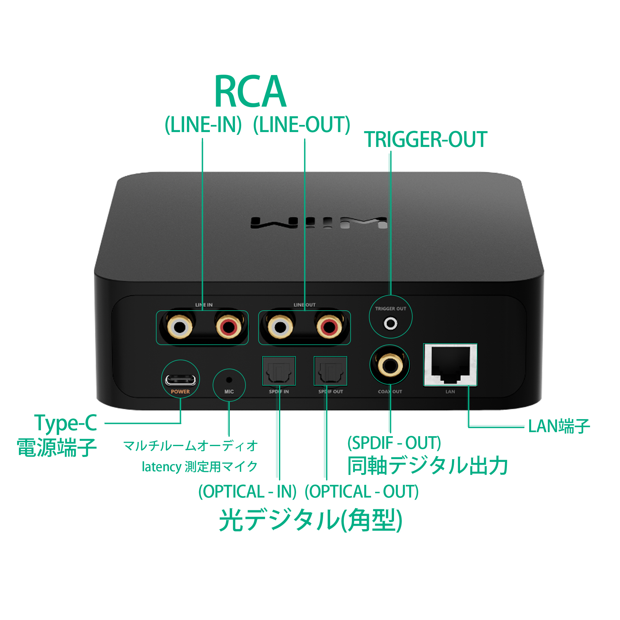 WiiM WiiM Pro WiiM | ウィーム ネットワークストリーマー : Onsite