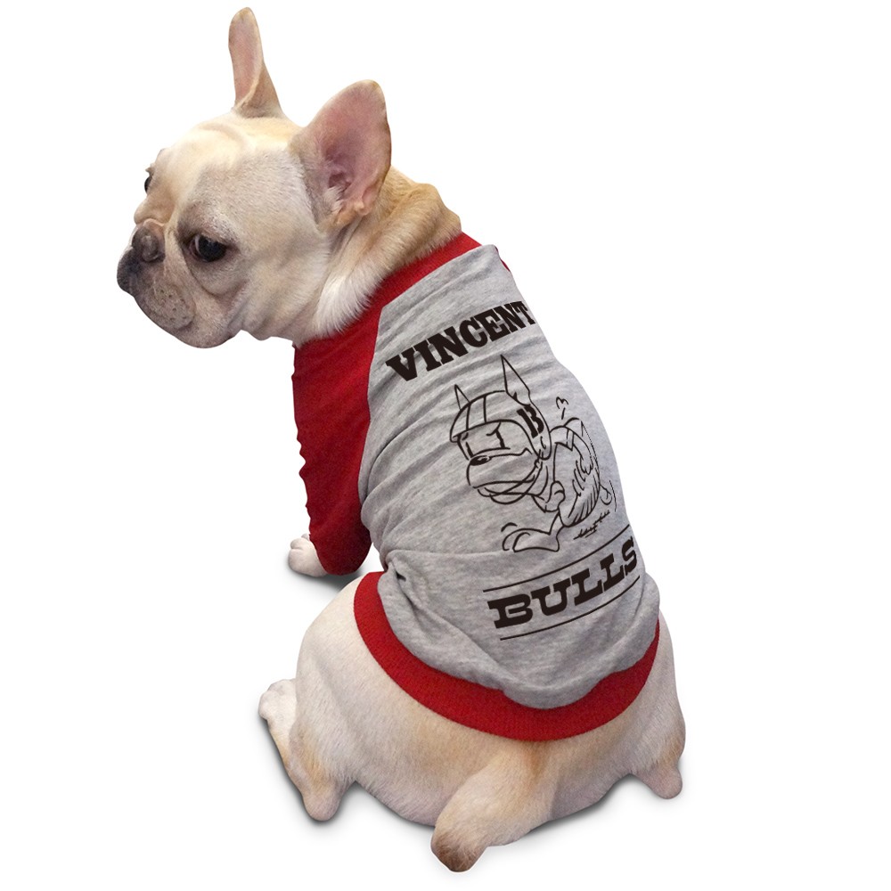 Msize ハートワッフルラグランmintフレブル服 パグ服 ハンドメイド犬服