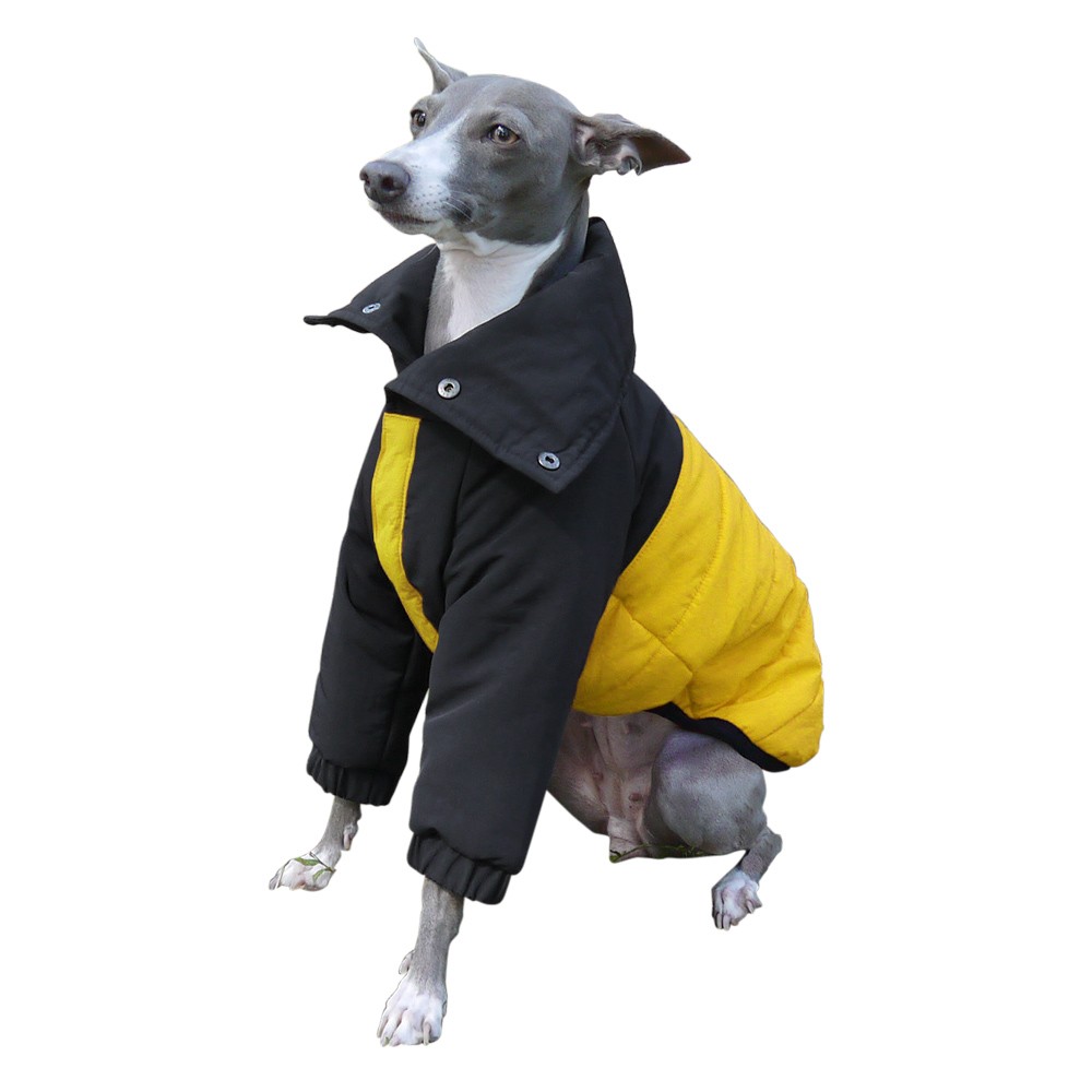 イタグレ 服 フィールド ジャケット イタリアングレーハウンド服 犬服