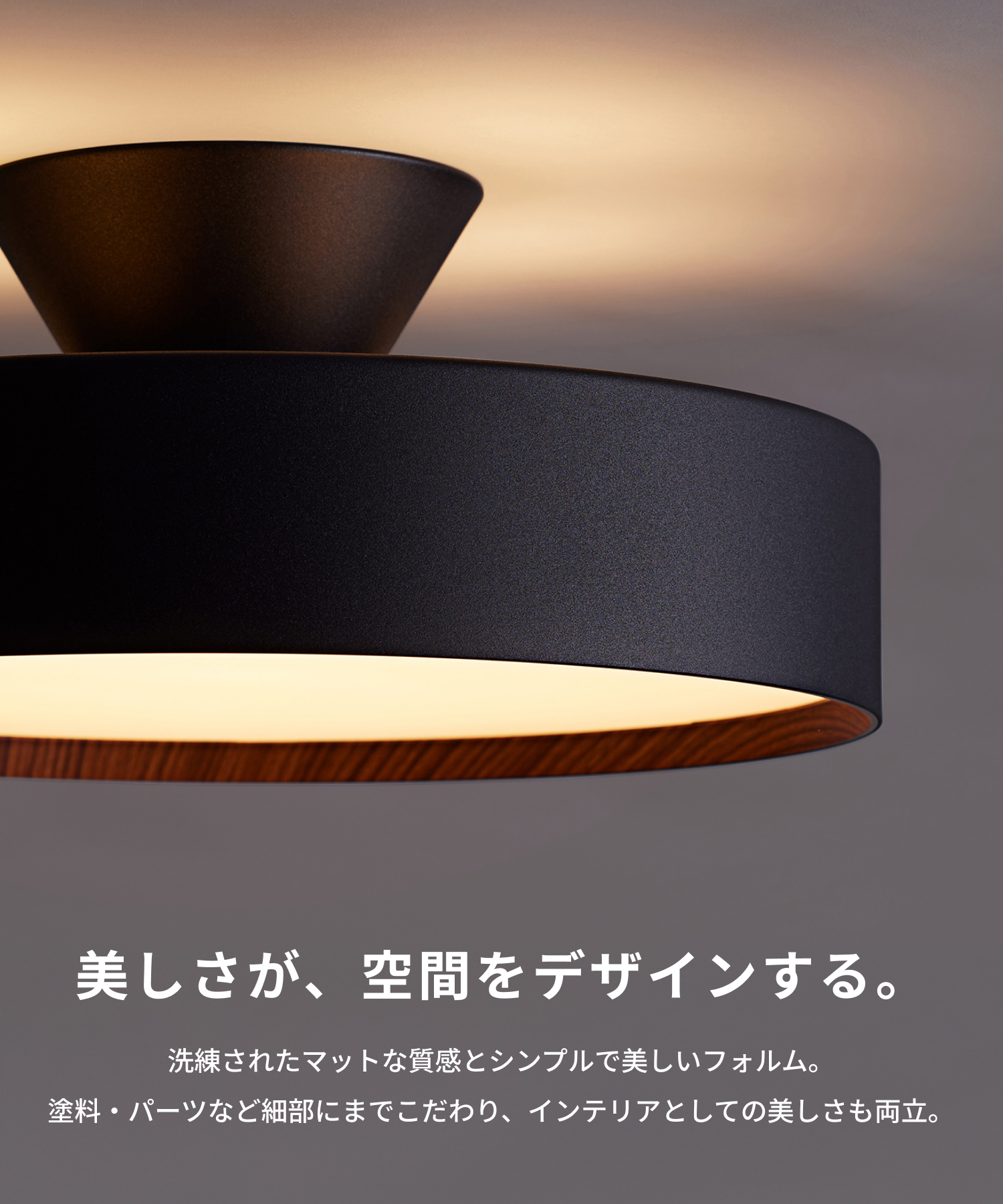 ARTWORKSTUDIO（アートワークスタジオ） シーリングライト 12畳 アート