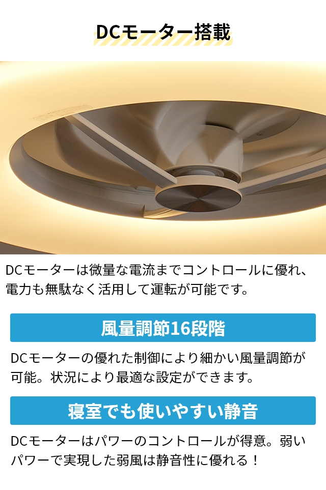 DOSHISHA（ドウシシャ） サーキュライト 選べる豪華特典 シーリング