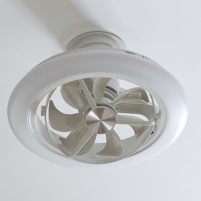 DOSHISHA（ドウシシャ） 選べる豪華特典 サーキュライト EZシリーズ