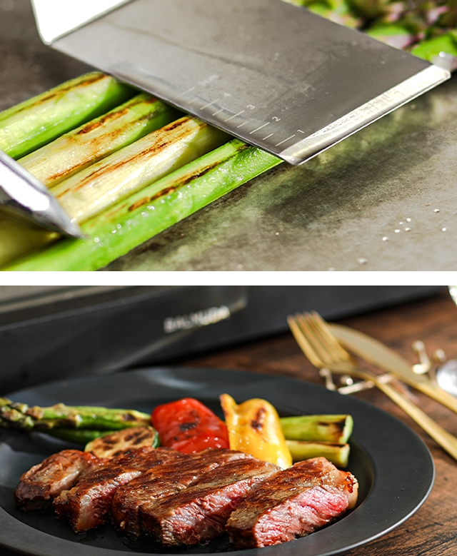 BALMUDA（バルミューダ） ザ プレートプロ プレートフルセット K10A-BK